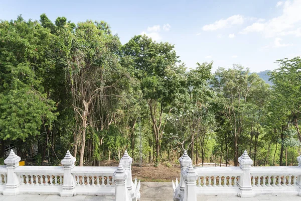 Le décor de la forêt avec le temple de Bouddha en Thaïlande . — Photo