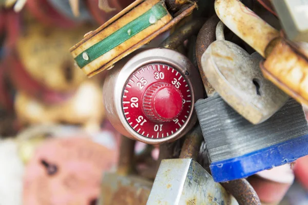 Ağaç üzerinde birçok kilitleri.