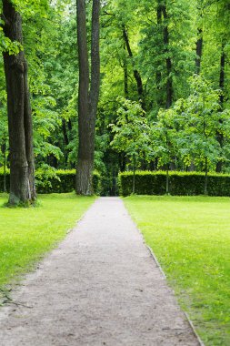 Ağaçlar, çim ve yol ile küçük bir Temizleme.