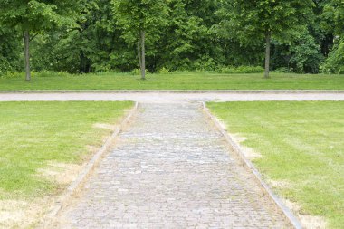 Ağaçlar patika ve çim.