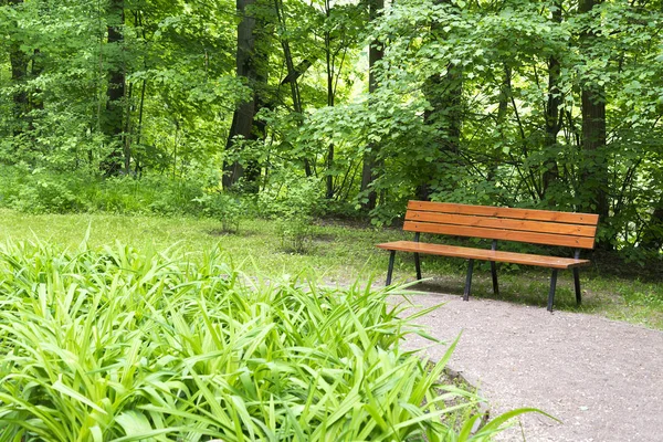 Eenzame bank in het park. — Stockfoto