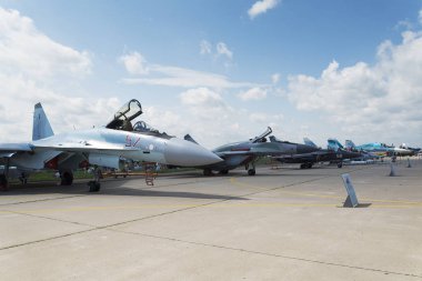 Rus askeri savaş uçağı Maks.