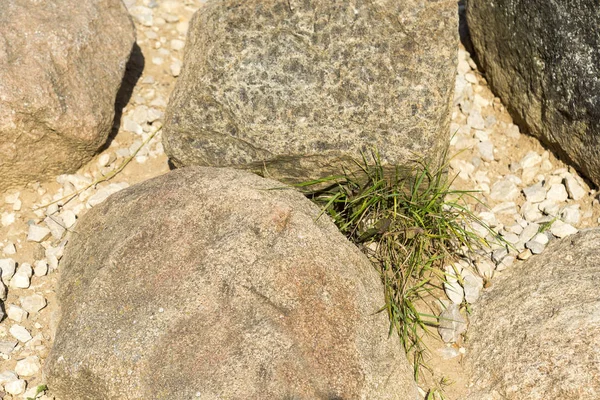 地面の石畳の質感. — ストック写真
