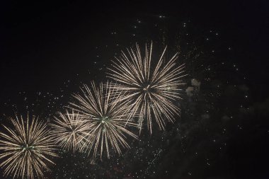 Bir tatil gece gökyüzünde havai fişek.