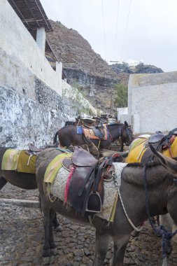 Santorini limanına eski yol.