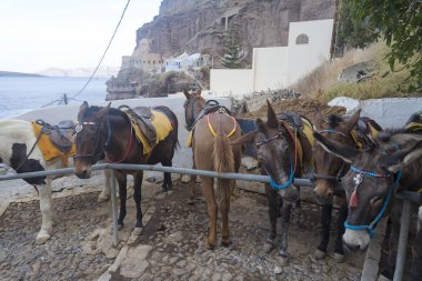 Santorini limanına eski yol.