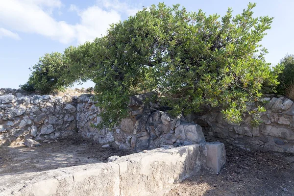 Paisaje, mar, árboles y montañas . — Foto de Stock