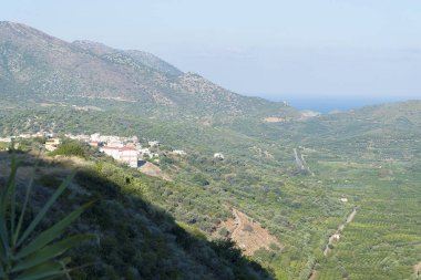 Güneşli bir günde çalılar ile Hills.
