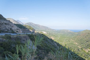 Güneşli bir günde çalılar ile Hills.