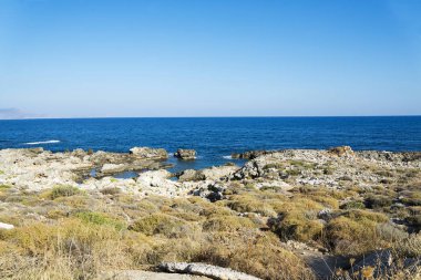Bir sprey şekillendirme Taşlı bir kumsalda kırma dalgalar. Dalga ve su sıçramalarına sahilde. Dalgalar kayalar üzerine çökmesini.