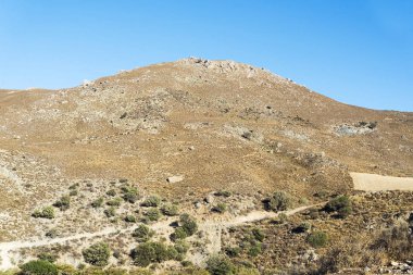 Güneşli bir günde çalılar ile Hills.