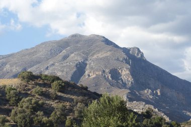 Güneşli bir günde çalılar ile Hills.