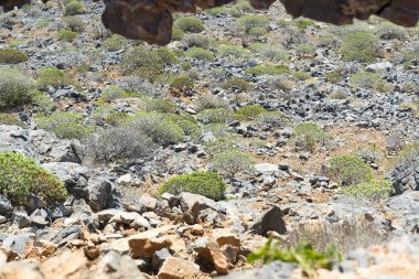 Doku beyaz taş buzlu.