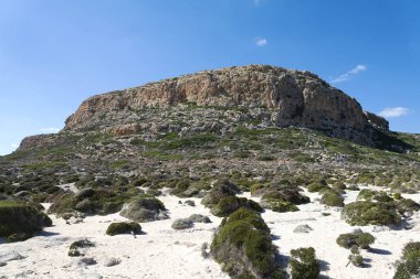 Güneşli bir günde çalılar ile Hills.