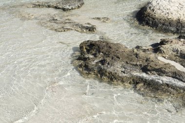 Kumsalda Mavi Okyanusun Yumuşak Dalgası.