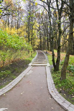 Yaprakları ile renkli kaplı merdiven Güz.