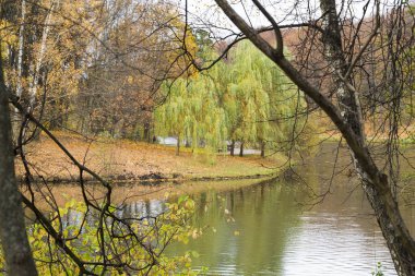 Park ağaçlar su yansıması ile sonbahar günü.