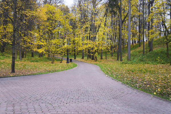 Sunrise in autumn forest. Walking path in the Park autumn day. Tsaritsyno Park, Moscow.