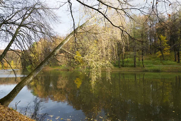 Dia de outono no Parque com reflexão de árvores em água . — Fotografia de Stock