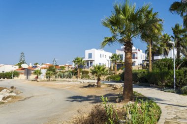 Yol boyunca palmiye ağaçları ve oteller.