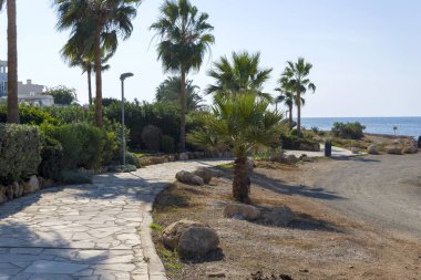 Yol boyunca palmiye ağaçları ve oteller.