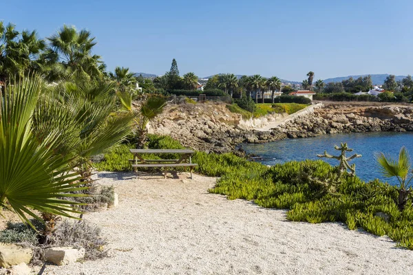 Picknickbank mit Blick auf das Meer an einem Sommertag. — Stockfoto