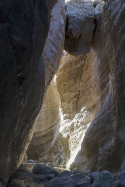 Kıbrıs'ta Avakas Gorge güneşli çok renkli kaya.