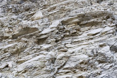 Gri kaya dokusu. Avakas Kıbrıs adasında boğuldu.