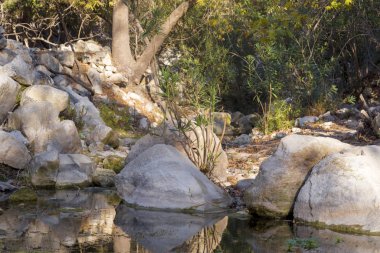Avakas geçidinde yol, bir sonbahar günü vadide yürüyüş..