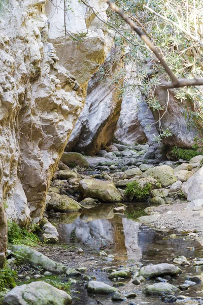 Солнечные разноцветные скалы ущелья Авакас на Кипре . — стоковое фото