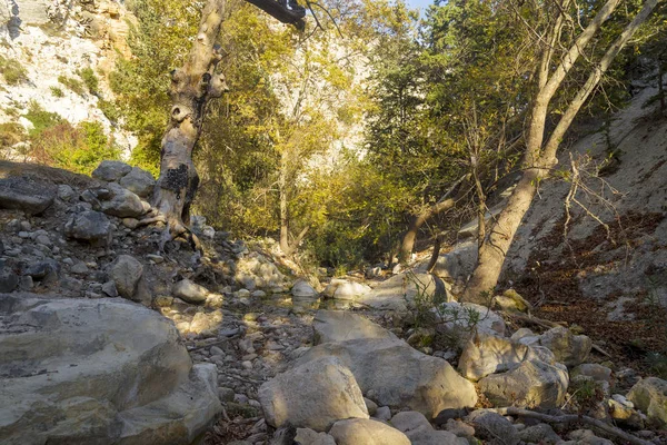 Path in avakas gorge, Hiking in the gorge on an autumn day.