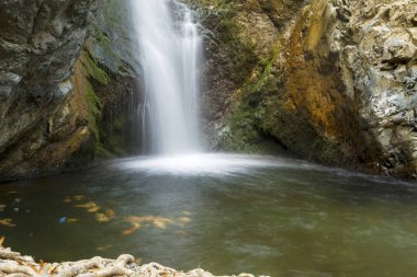 Cyo 'daki troodos dağlarında küçük bir şelale manzarası.
