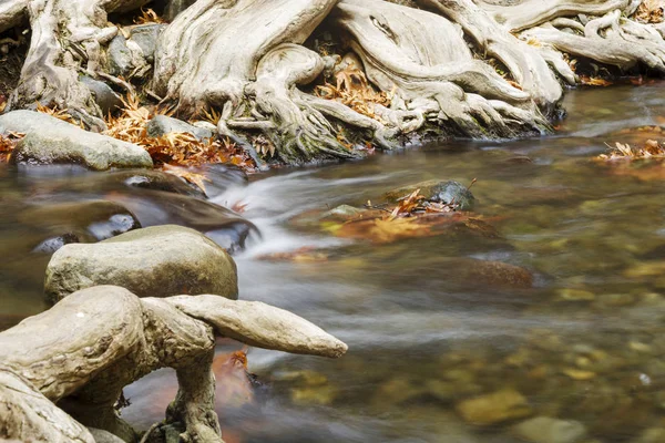 Horská řeka zblízka natáčení s pomalou rychlostí závěrky. — Stock fotografie