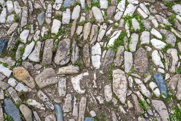 Piedras multicolores en el suelo. Diferentes formas y tamaños — Foto de Stock