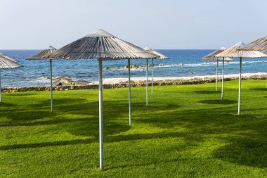 Deniz manzaralı çimenlikte plaj şemsiyeleri.