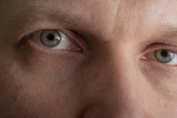 Human eye macro close-up, male grey eyes close-up.