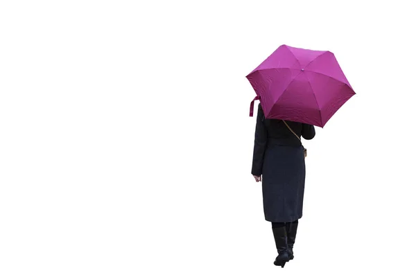 Una Chica Con Paraguas Sobre Fondo Blanco Está Pie Con —  Fotos de Stock