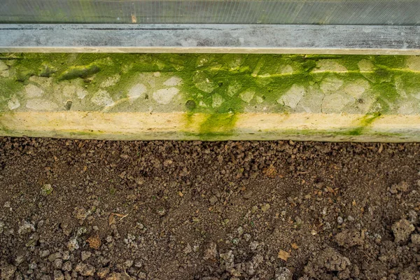 green mold fungus on the walls of the greenhouse, soil ready for planting, empty garden gardening concept