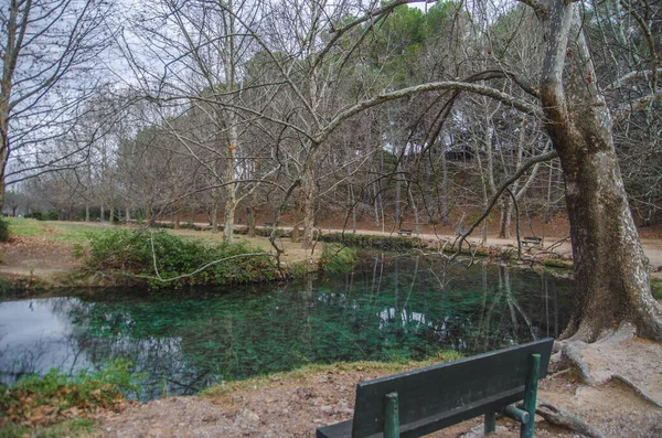 川と小さな池と流木のある自然公園 — ストック写真