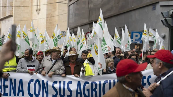 2020 스페인 Murcia 농부들이 쓰러지는 — 스톡 사진