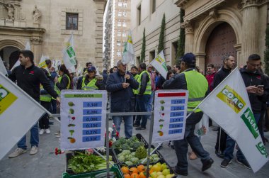 Çiftçilerin büyük bir tezahürü 21 Şubat 2020 'de İspanya' nın Murcia kentini çökertti. Çalışmalarına değecek bir fiyat için savaşıyorlar..