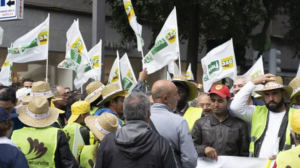 Stor Manifestasjon Bønder Kollapser Byen Murcia Spania Den Februar 2020 – stockfoto