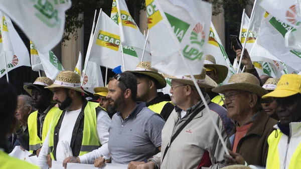 Stor Manifestasjon Bønder Kollapser Byen Murcia Spania Den Februar 2020 – stockfoto