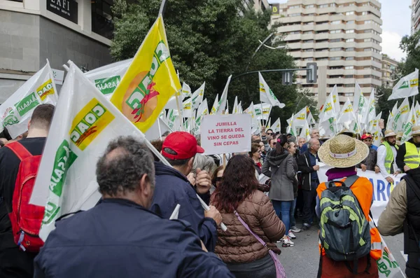 Большое Проявление Фермеров Разрушает Город Мурсия Испания Февраля 2020 Борются — стоковое фото