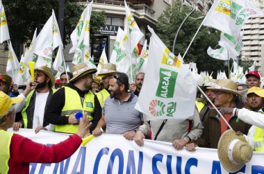 Çiftçilerin büyük bir tezahürü 21 Şubat 2020 'de İspanya' nın Murcia kentini çökertti. Çalışmalarına değecek bir fiyat için savaşıyorlar..