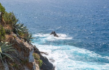 Kaktüslere, Kayalıklara ve Pasifik Okyanusu Dalgalarına İnanılmaz Bakış