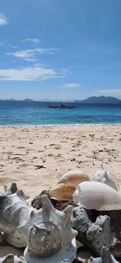 Güzel deniz manzarası, büyük deniz kabuklarına yakın çekim, beyaz kumlu plaj, Truquoise suyu, tekne ve mavi gökyüzü. Palawan Adası. Filipinler.