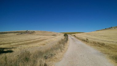 İspanya kırsalındaki toprak yol, Saint James, Compostela haccı, Camino de Santiago..