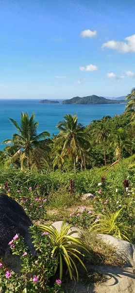 Γραφική Θέα Στην Ακτή Του Νησιού Palawan Φιλιππίνες — Φωτογραφία Αρχείου