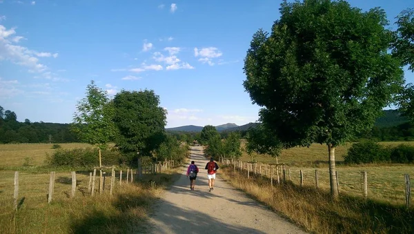 Pielgrzymi Spacerujący Polnej Drodze Drodze Pielgrzymki Compostela Camino Santiago Hiszpania — Zdjęcie stockowe